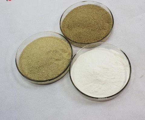 Animal Nutrition Amylase Powder For Baking , Fungal Amylase Normal Fermentation Odour