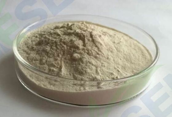 Raw Powdered Bread Improver Enzyme  Suitable Temperature Range  Highly Concentrated