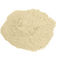 Natural Thermal Stable Powdered Enzyme Amylase Biotype - Assistant
