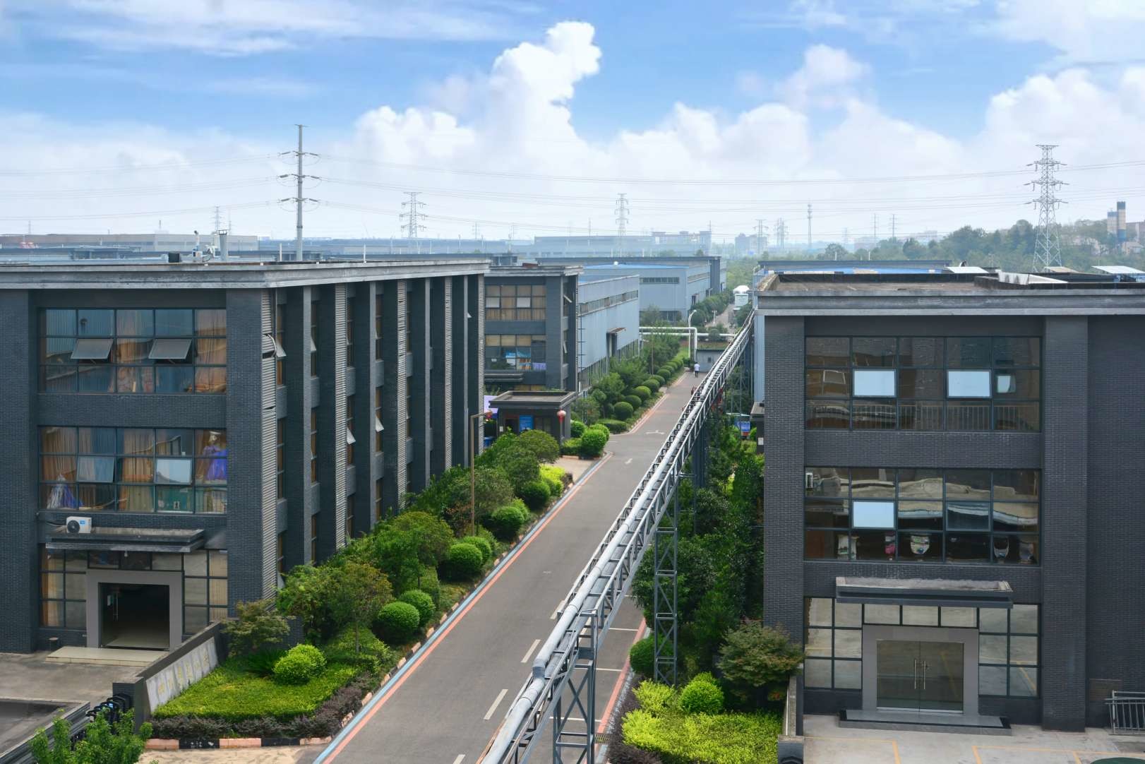 quality Food Grade Enzymes factory