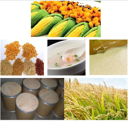 Phytase improve feed phosphate utilization , feed additives