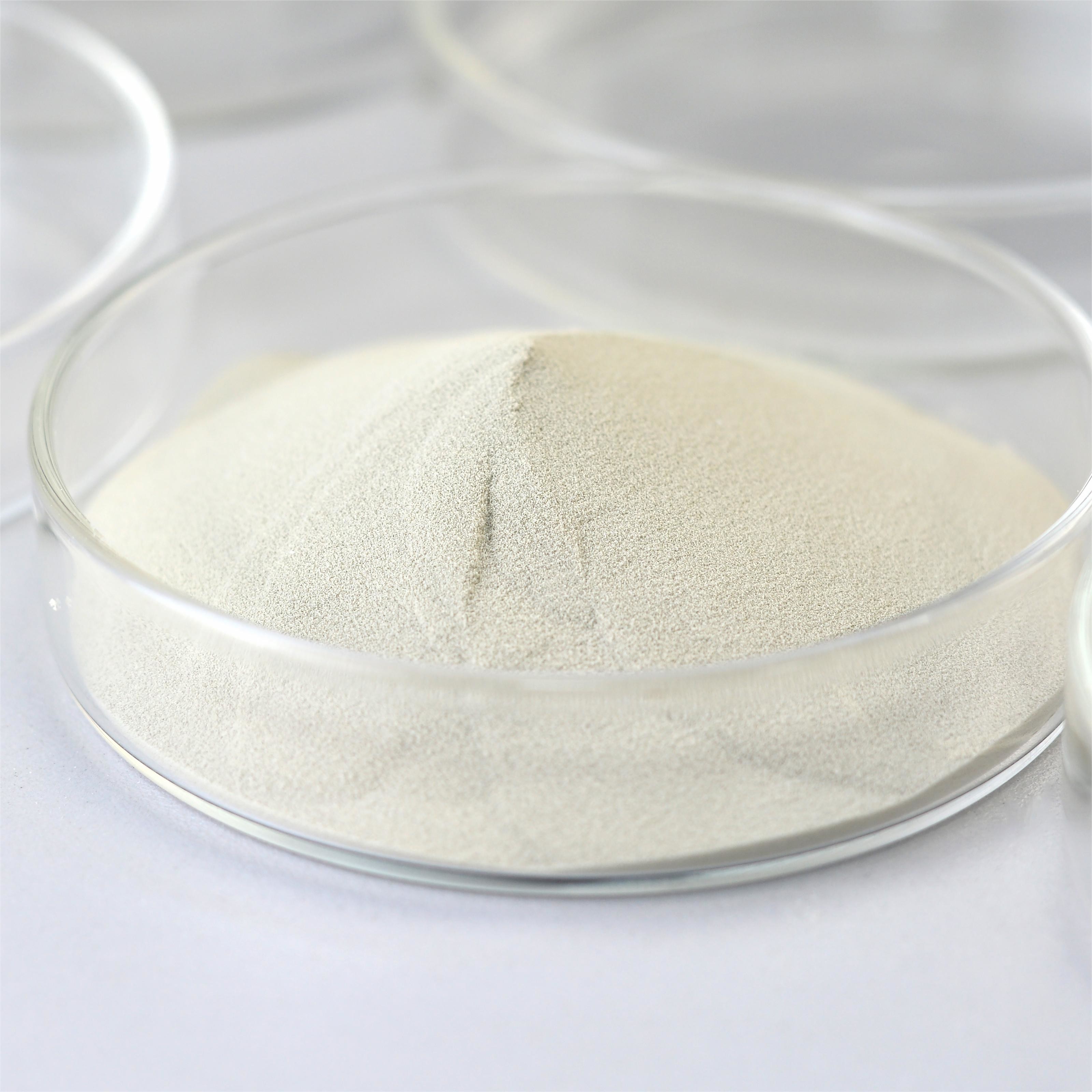 Fungal Amylase Enzyme